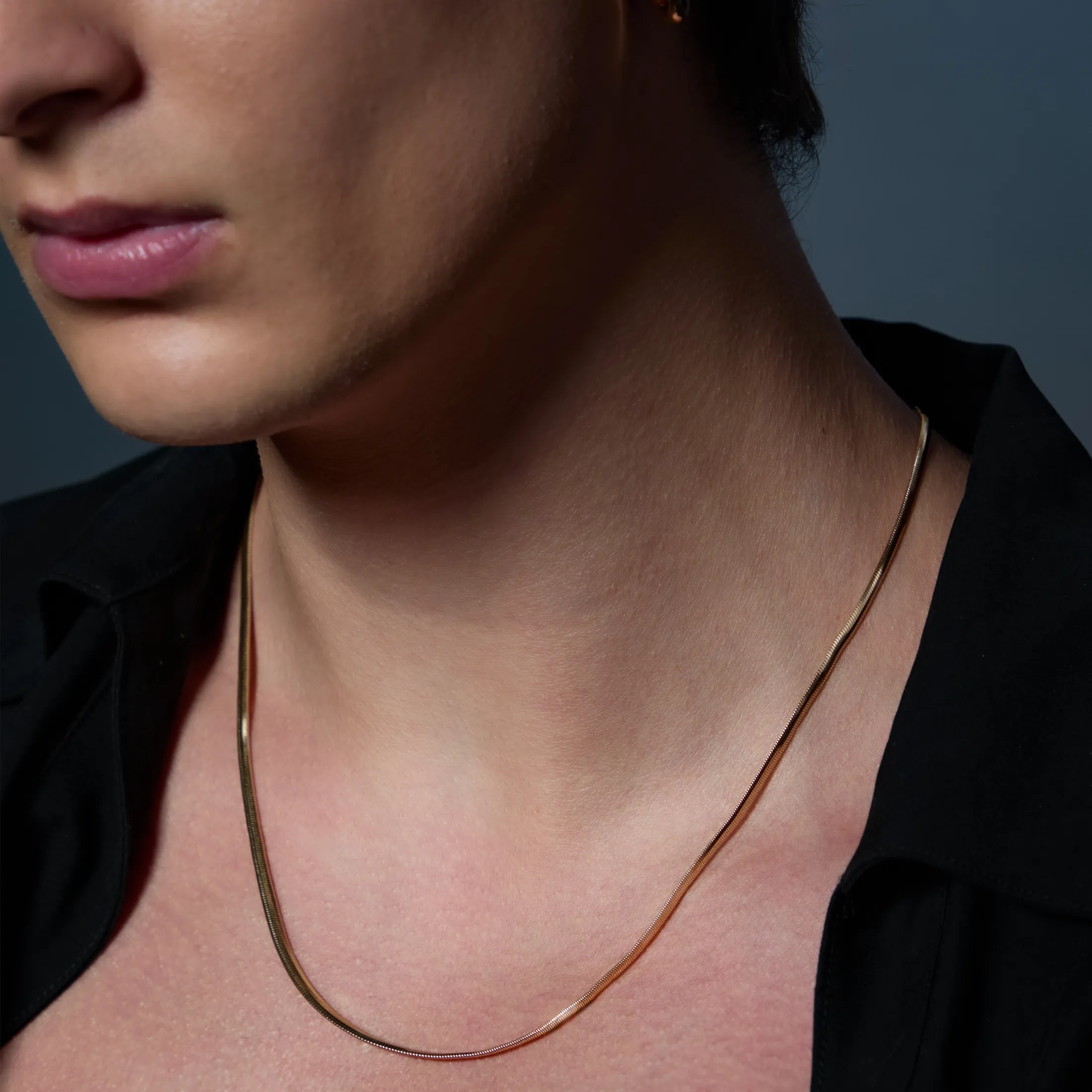 Signature Snake Chain Necklace - alternate view